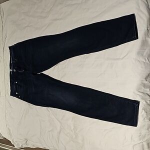 7 for all mankind gwenevere skinny jeans